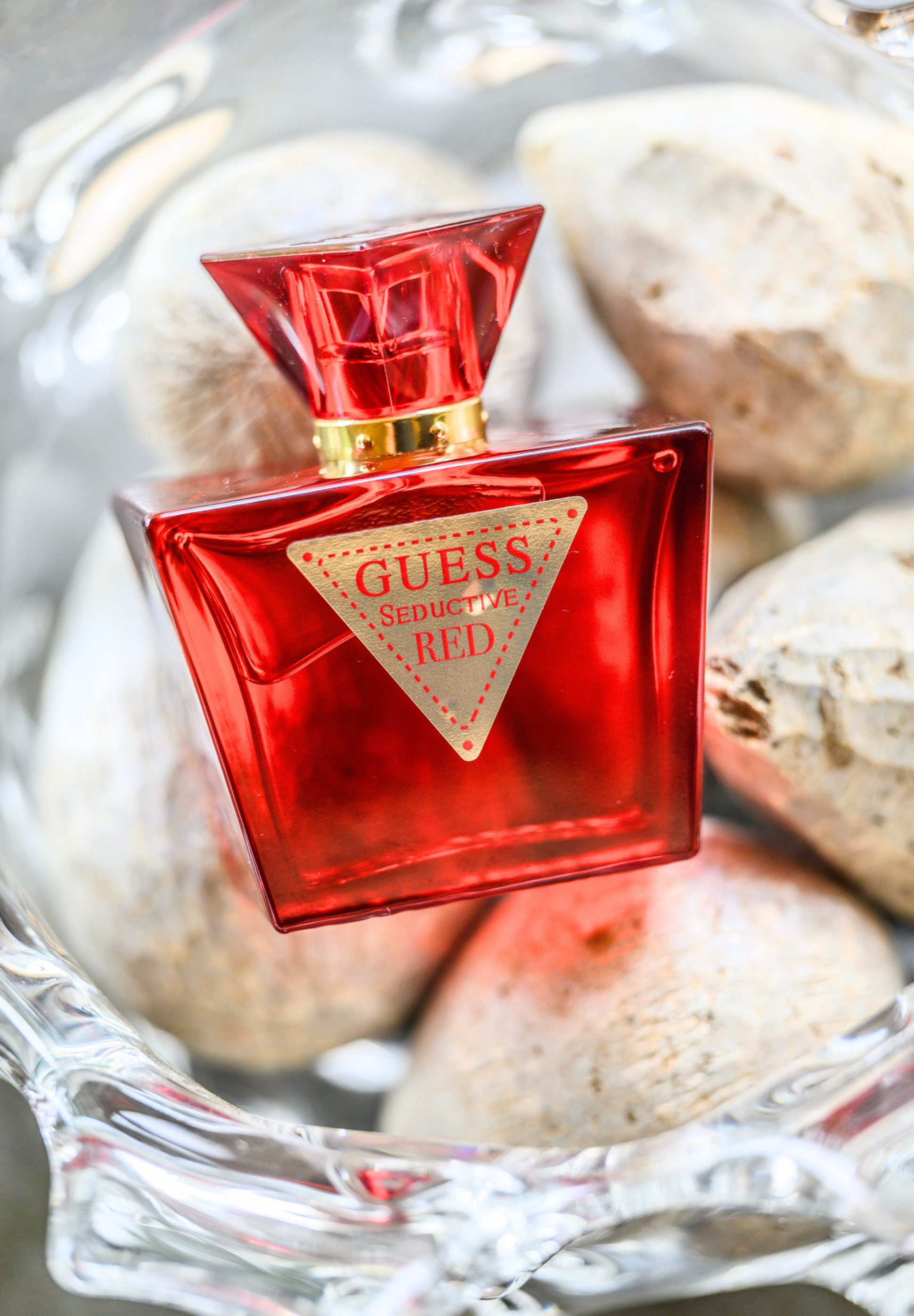 The-Blank-Canvas-Profile-38