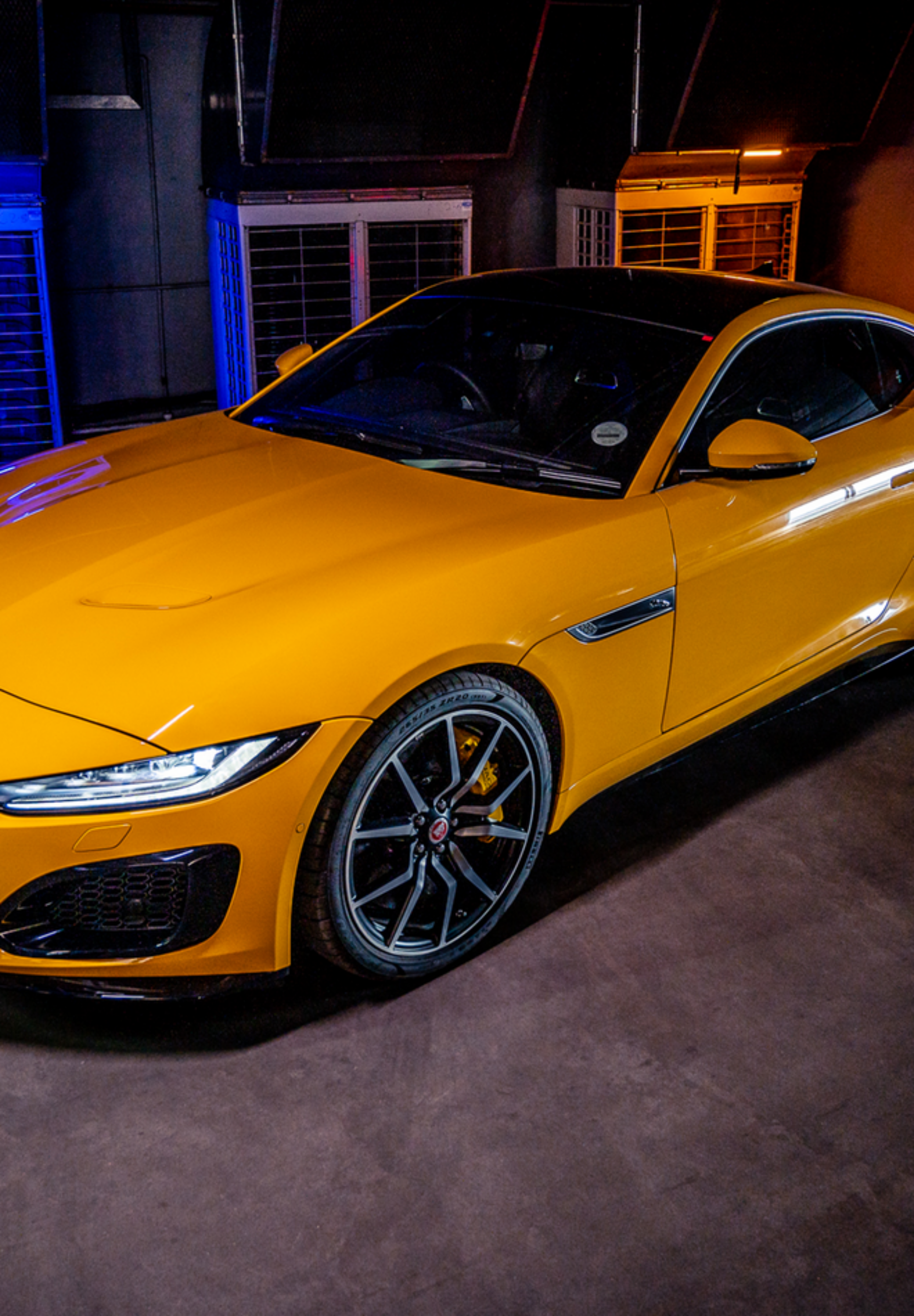 The-Blank-Canvas-Profile-24